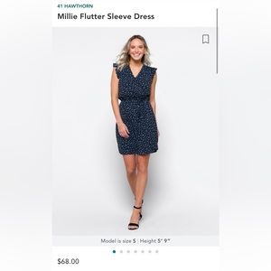 Stitch fix 41 Hawthorn Millie flutter sleeve dress size L